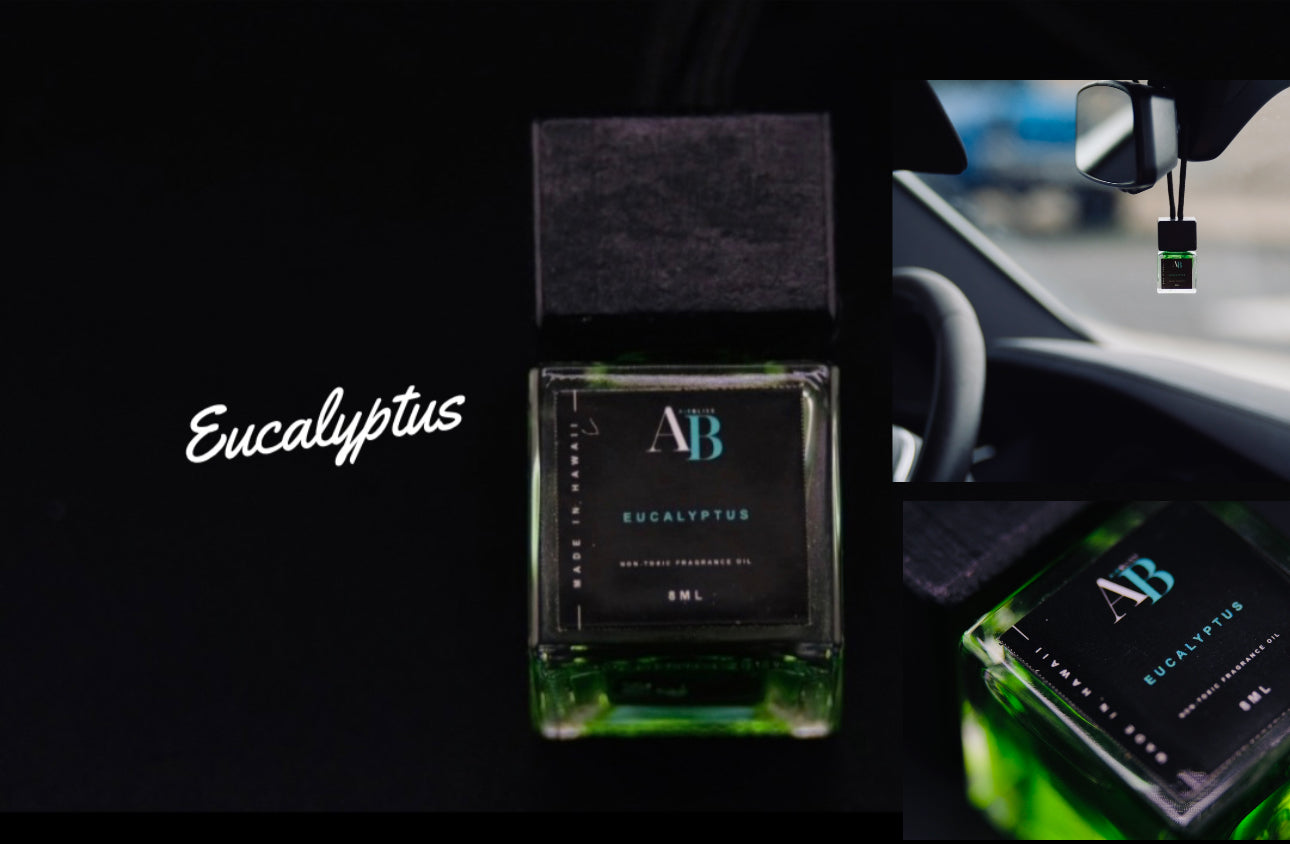 Eucalyptus Car air freshener